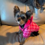 WhatsApp Image 2025-11-05 at 19.48.25_0e0043dd