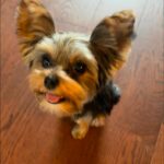 WhatsApp Image 2025-11-05 at 19.48.26_a97b5467