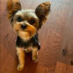 WhatsApp Image 2025-11-05 at 19.48.33_9db92273