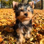 WhatsApp Image 2025-11-05 at 20.20.47_a364fdee