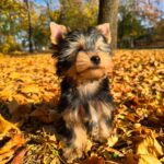 WhatsApp Image 2025-11-05 at 20.20.54_cbce0233