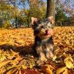 WhatsApp Image 2025-11-05 at 20.20.54_ed19bd83