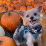 WhatsApp Image 2025-11-07 at 00.27.16_b181ad63