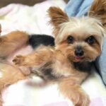 WhatsApp Image 2025-11-07 at 00.36.51_19ee6149