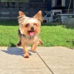 WhatsApp Image 2025-11-07 at 00.37.09_95b8961a