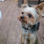 WhatsApp Image 2025-11-07 at 00.37.15_5d788ca6