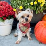 WhatsApp Image 2025-11-07 at 01.35.17_dc0edfec