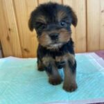 WhatsApp Image 2025-11-08 at 08.12.22_24ec3947