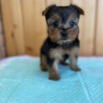 WhatsApp Image 2025-11-08 at 08.12.22_35abf0de