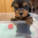 WhatsApp Image 2025-11-08 at 08.12.22_c8327286