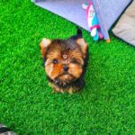 WhatsApp Image 2025-11-08 at 10.20.36_85b9b6b1