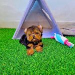 WhatsApp Image 2025-11-08 at 10.20.37_3a2924bb