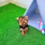 WhatsApp Image 2025-11-08 at 10.20.38_c28b4ce1