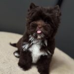 WhatsApp Image 2025-11-10 at 15.08.59_4d81cca8