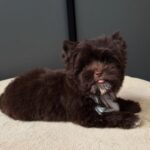 WhatsApp Image 2025-11-10 at 15.08.59_e745de9e